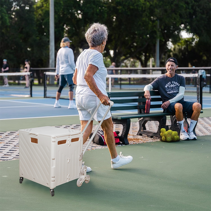 Lightweight Brushed Trolley Lu - Pull Cart Fold avaliação e preço